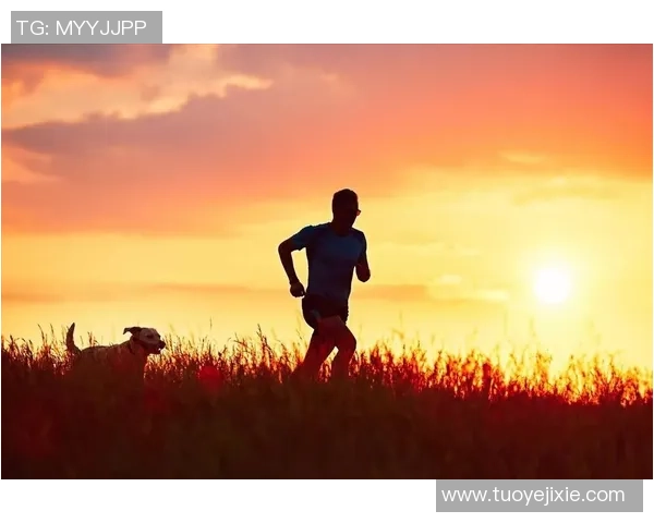 足球打太极的奇妙结合探讨运动哲学与身体智慧的交融之美