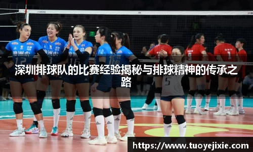 深圳排球队的比赛经验揭秘与排球精神的传承之路