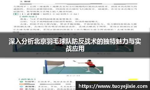 深入分析北京羽毛球队防反战术的独特魅力与实战应用
