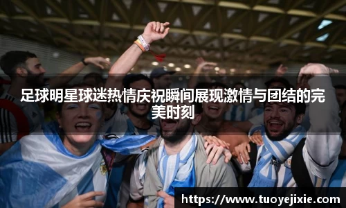 足球明星球迷热情庆祝瞬间展现激情与团结的完美时刻