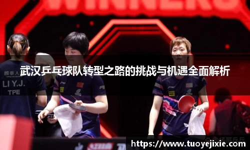 武汉乒乓球队转型之路的挑战与机遇全面解析