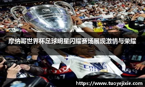 摩纳哥世界杯足球明星闪耀赛场展现激情与荣耀