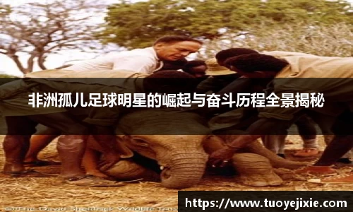 非洲孤儿足球明星的崛起与奋斗历程全景揭秘